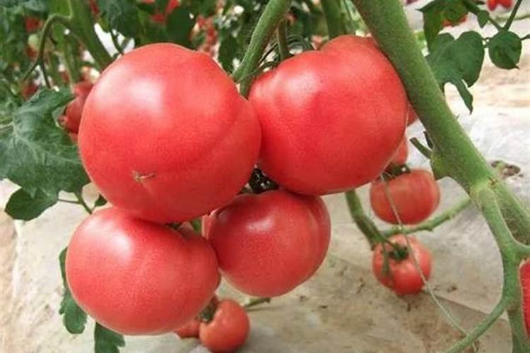 下雨时可以增加土壤中的什么