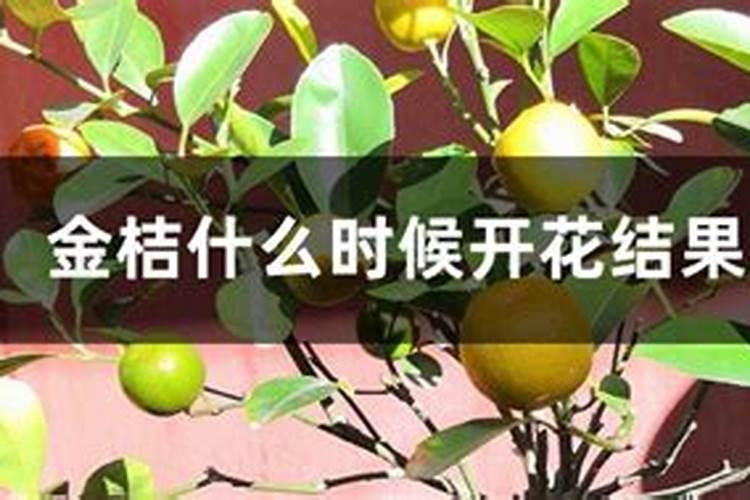 农药木霉菌喷白菜萝卜苗可以吗？