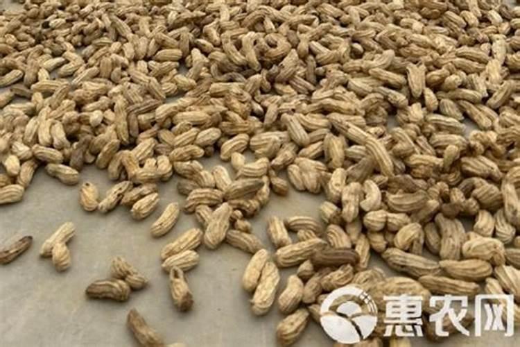 丝瓜用什么肥料产量高 挂果后施什么肥料