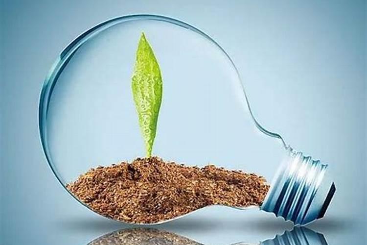 请问李树肥怎样施较好(那种含量