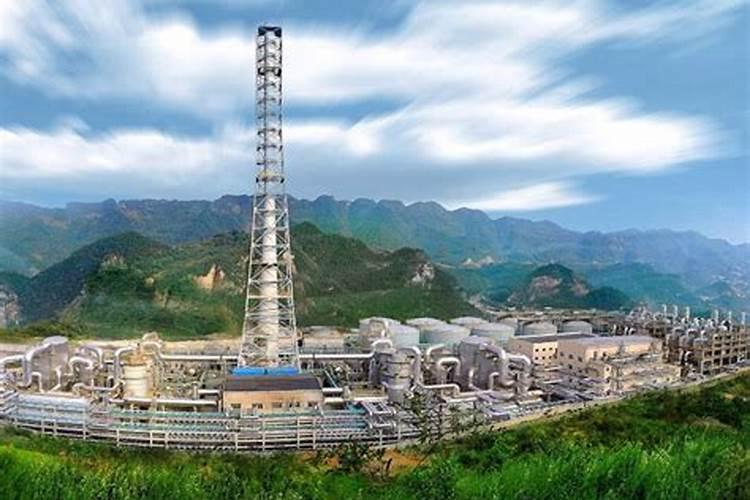 冬天月季施什么肥最好