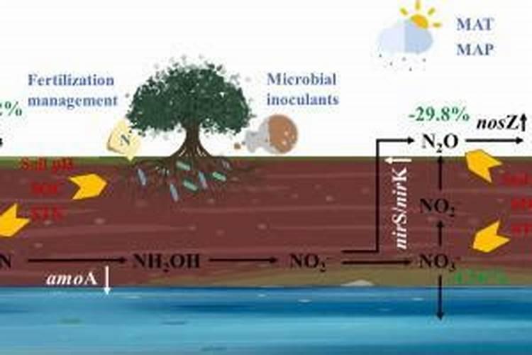 过量施肥会导致土壤酸化吗
