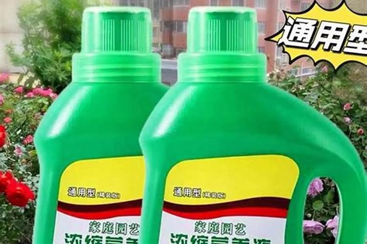 花盆里撒点“小黑灰”,不花钱的万能肥,促植物生长不生虫