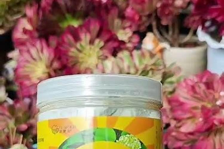 养花的十大最佳肥料