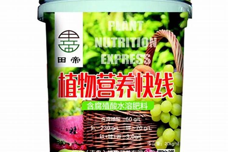 腐植酸对大蒜有什么好处,腐植酸肥的最佳配方