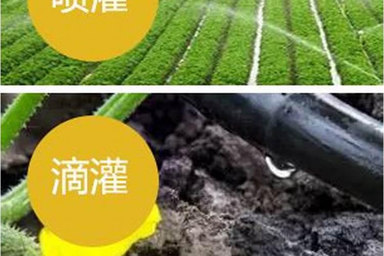 有机肥多少钱一吨 近期市场行情好吗