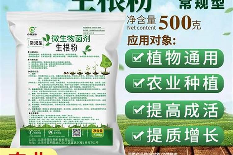 草莓什么时候施肥最合适,草莓施什么肥才甜