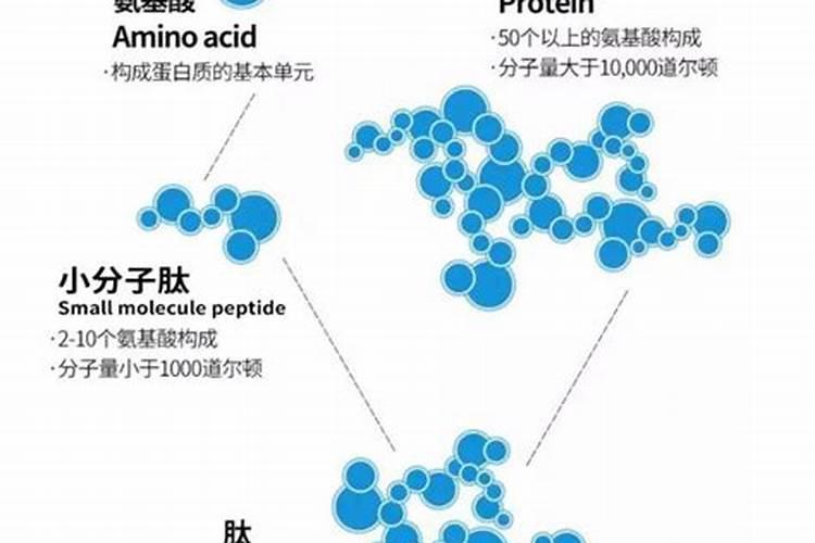果树生根促根用什么效果最好？