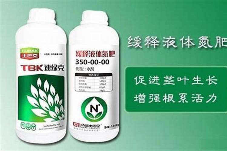 西安含元花世界市场