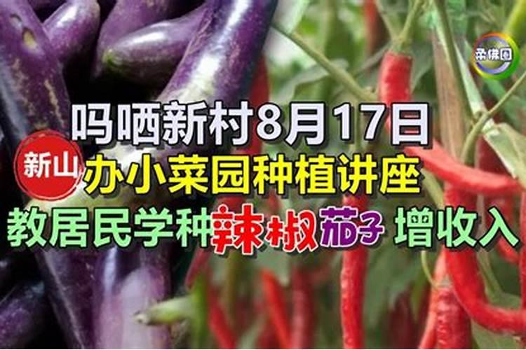 TA1、 TA2、 TA3、 TA4有什么区别？