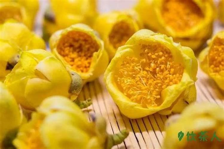 杨树施肥最佳时间 杨树什么时候施肥最好？