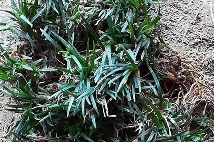 不含风味的酸奶有哪些牌子？