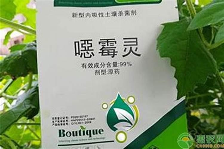 恶霉灵可以叶面喷施不