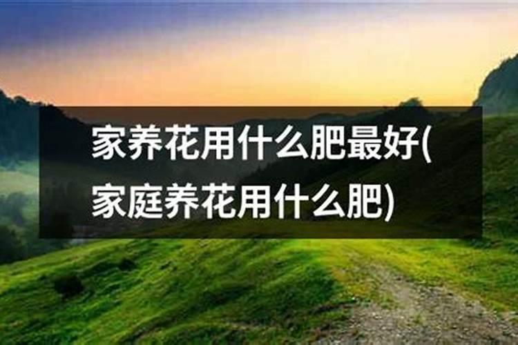 什么肥料养花最好的效果;室内养花用什么肥料最好