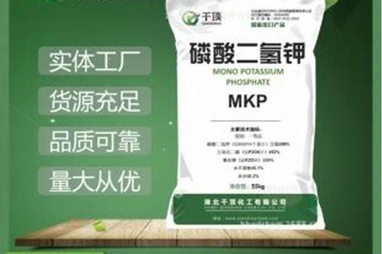 花盆里有很多小白虫用什么药