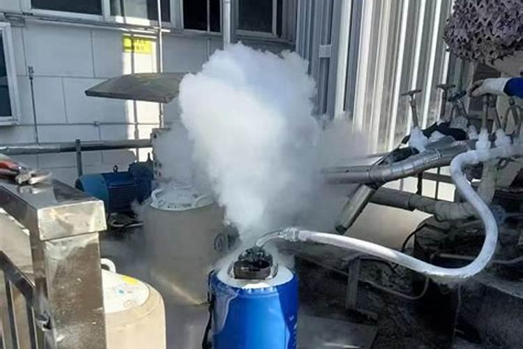 如何养殖青石斑鱼等鱼苗