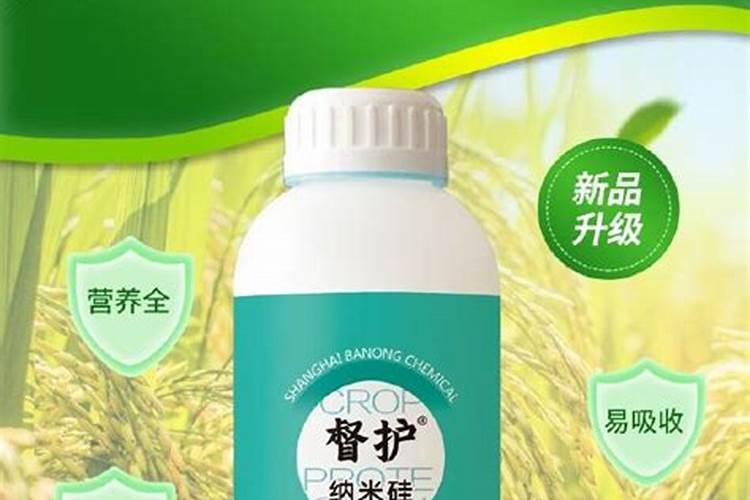 芸苔素内酯如何兑水