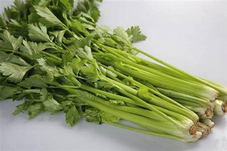 种芹菜用什么肥料好