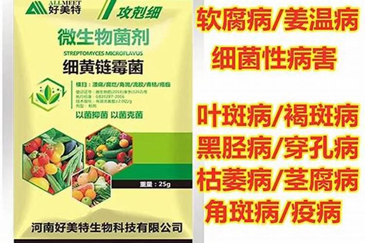 代森锰药,细黄链霉菌可以用冲肥料管槟榔树根吗
