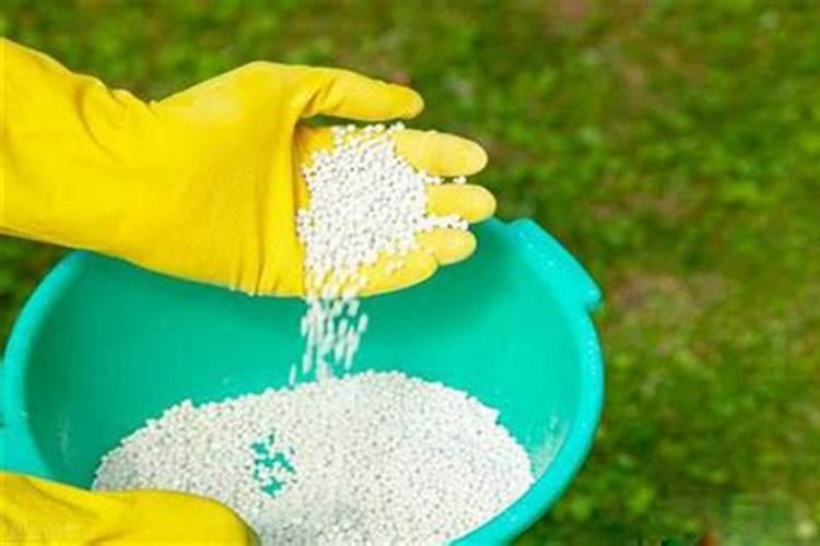 肥料使用方法有哪些