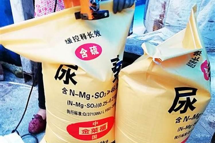 蒲江猕猴桃基地在哪里,位于成都蒲江县复兴乡