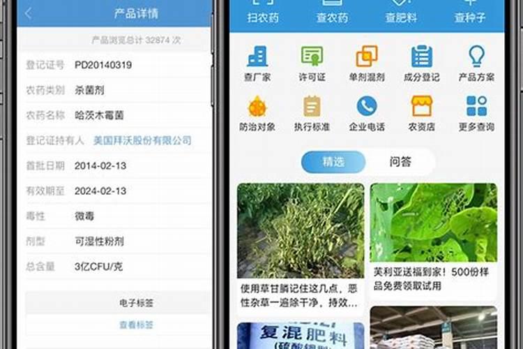 芸苔素在玉米上的最佳使用时间和使用方法
