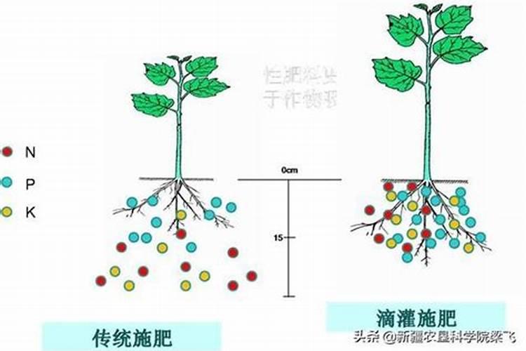 山东有哪些3d打印公司