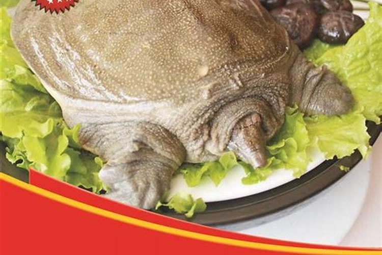 土壤和土壤肥料在现代农业生产中的重要意义是什么