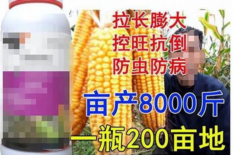 临沂辣酱生产厂家