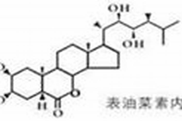 皇嘉牌天然芸苔素内脂是同类产品中最好的吗