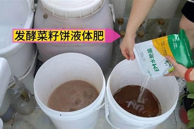 菜籽饼能不发酵拌土直接做基肥吗