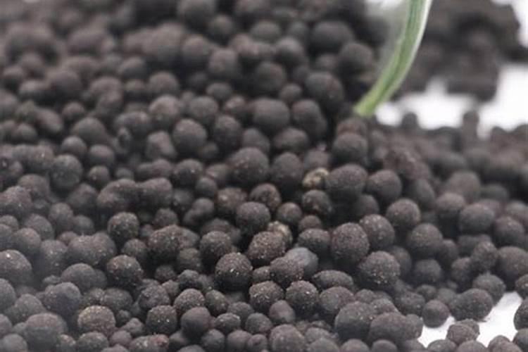 豆角追肥用什么有机肥好？