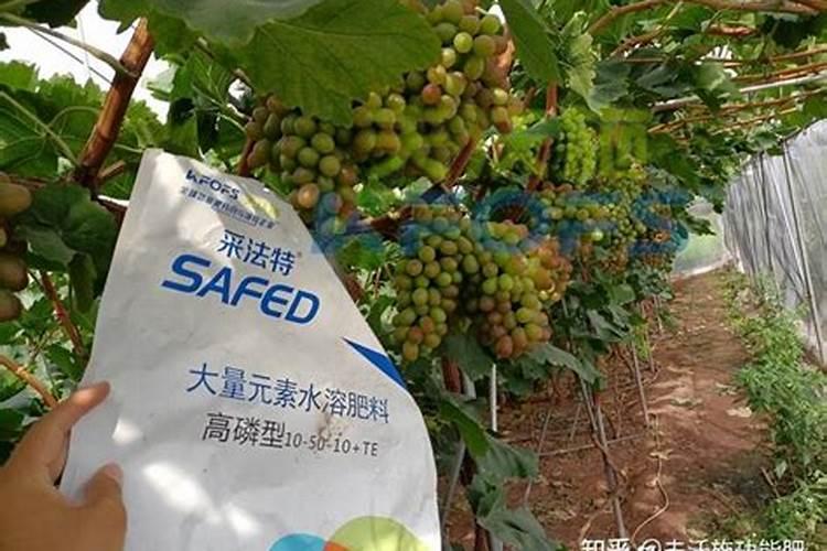 在酸性的土壤环境,我们应该选用什么样的冲施肥