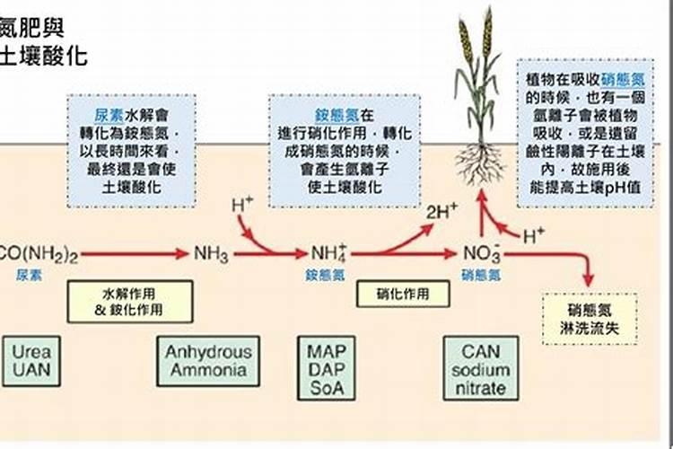 土壤中氮肥过多怎么办？