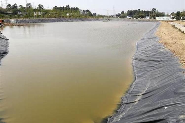 肥水肽为什么不能肥水