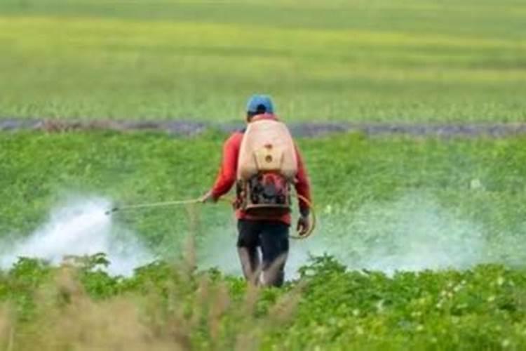 二酸磷竟钾打花生存坏处吗咋补救