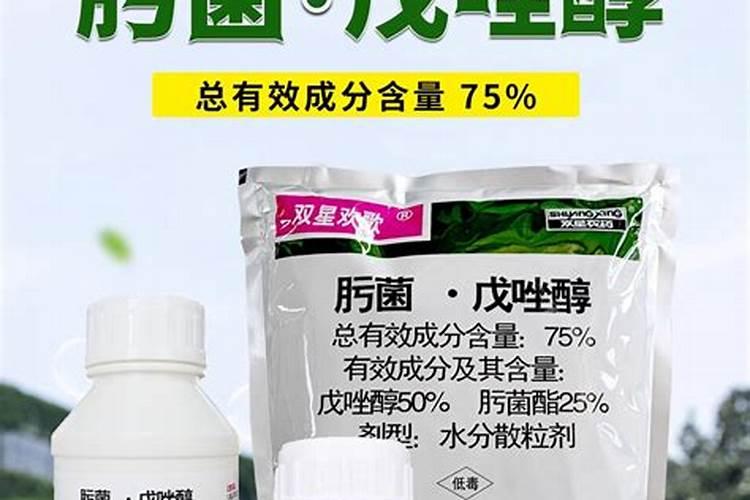 葡萄花前,用什么菌药为主。