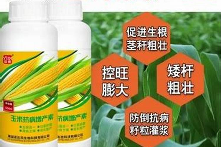 叶菜用什么叶面肥能使茎杆粗壮叶面肥大？