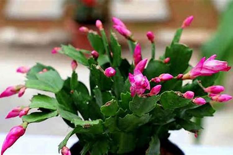 PASP:绿色高效的新型水溶肥增效剂