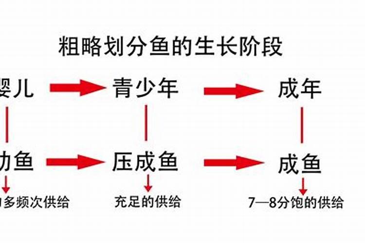 西班牙猪肉能吃吗