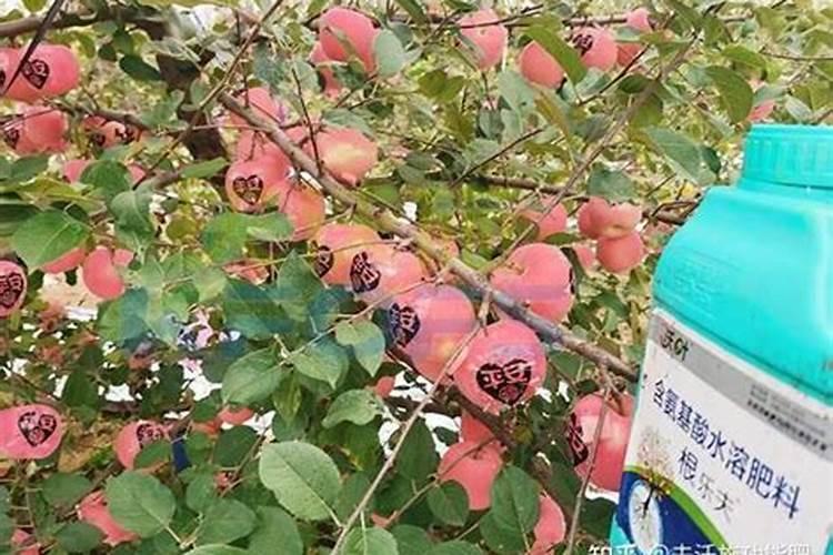 西安富玛乐生物科技有限公司水溶肥厂址