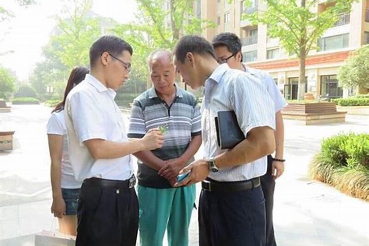 硼肥的十大害处