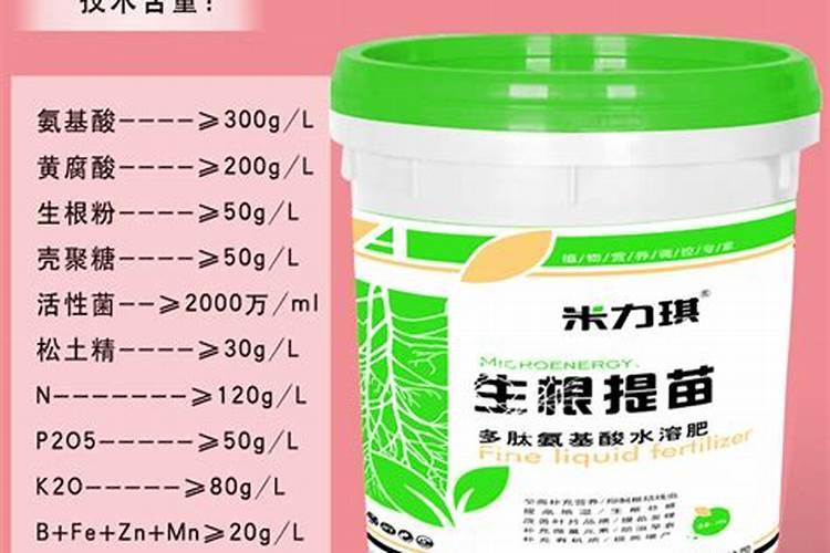 蕃茄尖能长茂盛吗？