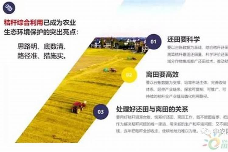 玉米田秸秆还田后,还用施钾肥吗？？？