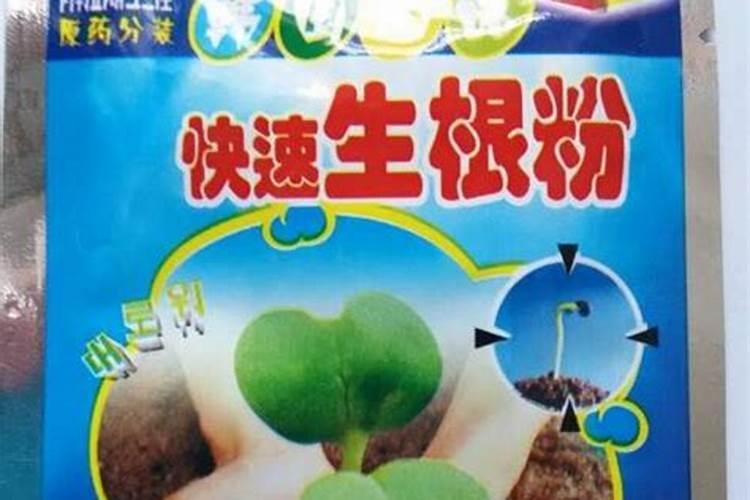 生根粉浇多了会烧根吗