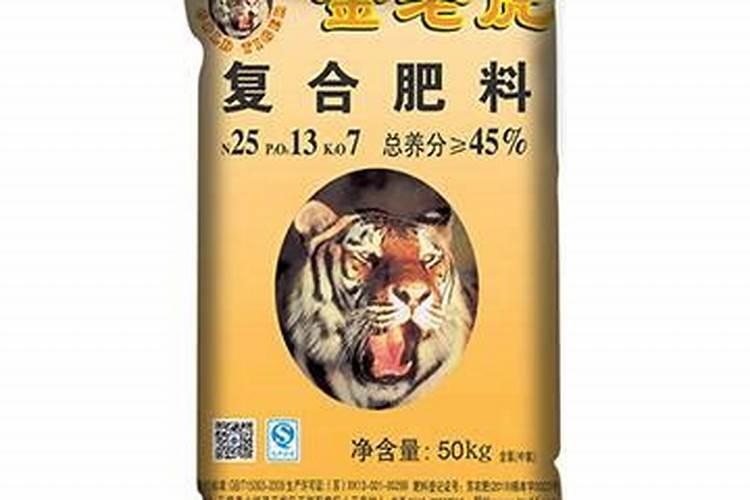 猕猴桃树如何种植？
