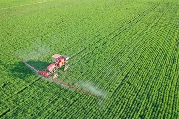 代森锰锌和多菌灵哪个好