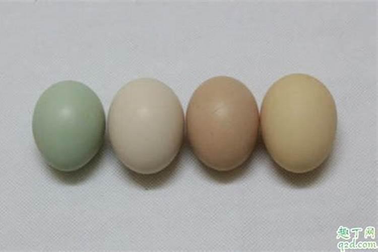 做肥料的蛋壳用生的还是熟的