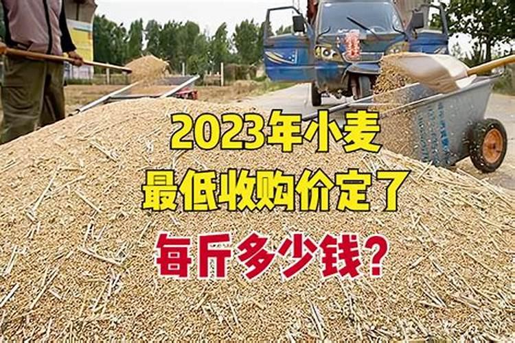 种两亩地麦子成本多少