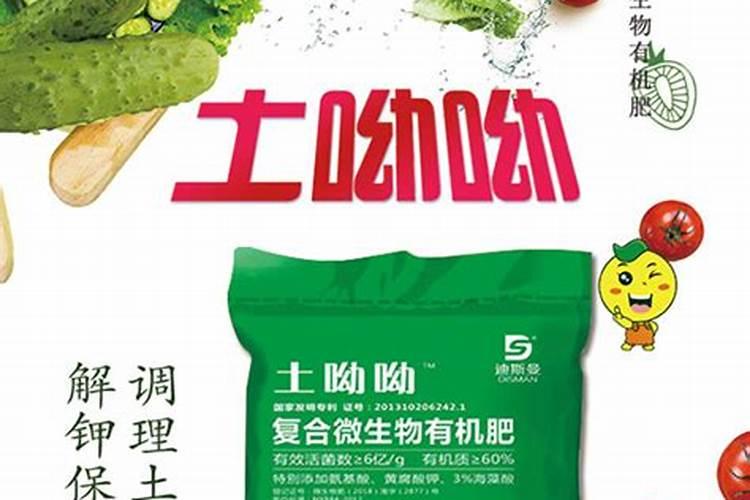 种葱用什么肥料最好